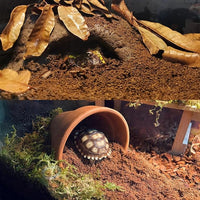 BNOSDM Reptile Soil Substrate Fluffy Small-Strand Reptile Substrate and Snake Bedding Clean Natural Terrarium Bedding for Lizards Snakes Tortoises Tarantulas