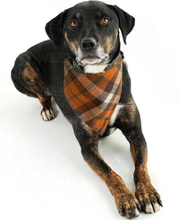 Fall Dog Bandanas 2 Pack, Orange Plaid Pet Scarf for Boy and Girl, Premium Durable Fabric, Holiday - Orange / Small - image 2