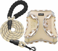 haapaw Dog Harness with Leash Set - XL / Beige