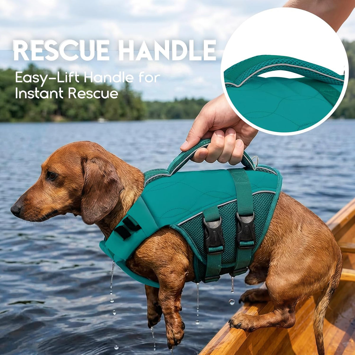 ASENKU Dog Life Jacket, High Floatation Dog Swimming Vest with Rescue Handles for Small Medium - X-large / LakeGreen - image 2