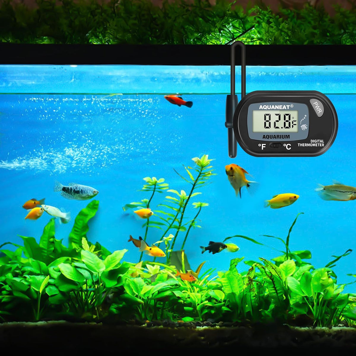 AQUANEAT 2 Pack Aquarium Thermometer, Fish Tank Thermometer - 2.3" (L) x 1.5" (W) (Pack of 3) - image 2