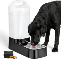 Automatic Dog Water Bowl Dispenser - D2416B-With Filter