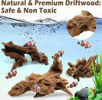 6PCS Natural Driftwood 3" - image 2
