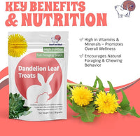 Snout and Shell Dandelion Leaf Treat for Small Pets – 1 oz (28g) | High-Fiber, Natural Foraging Snack for Rabbits, Guinea Pigs, Chinchillas, Squirrels & More