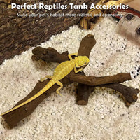 VCEPJH Snake Climbing Branch - Grape Wood (S:11.8"-2pcs) / 2 - image 3
