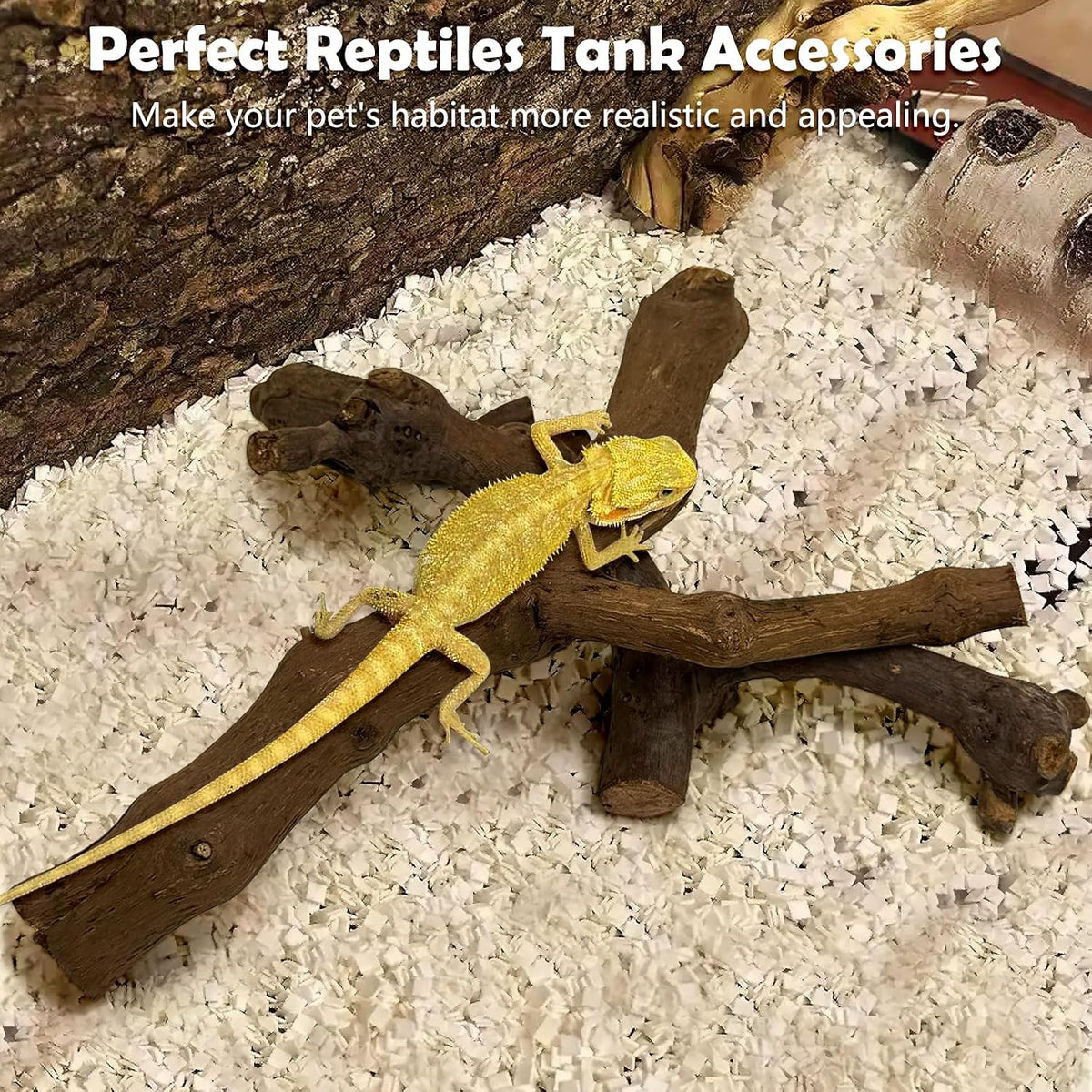 VCEPJH Snake Climbing Branch - Grape Wood (S:11.8"-2pcs) / 2 - image 3