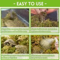8 OZ Natural Sphagnum Moss for Reptiles - 6QT(4oz) - image 4