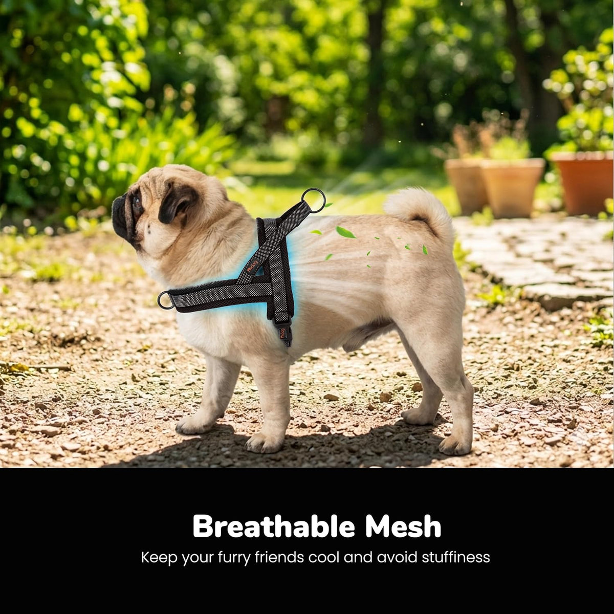 Didog No Pull Dog Harness for Large Dogs, Breathable Mesh Padded - Black-2 / M: Chest 21-27", Fit 28-50 lbs - image 2