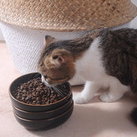Ceramic Cat Bowls, Howise Pet Bowl Cat Dishes for Food and Water - black - image 3