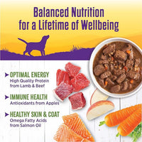 Wellness Complete Health Thick & Chunky Natural Canned Wet Dog Food, Lamb & Beef Stew, 12.5-Ounce Can (Pack of 12)