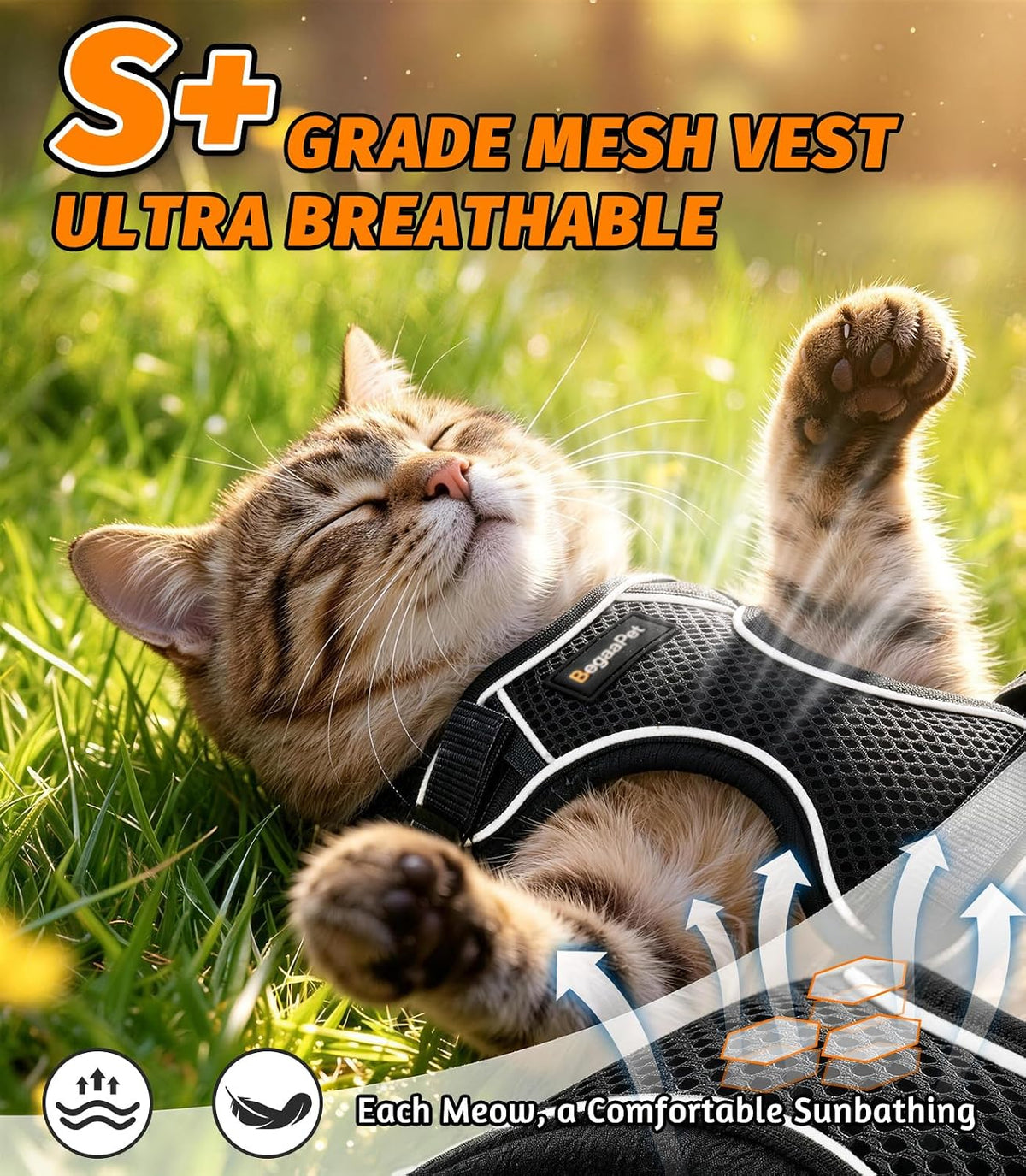 Cat Harness and Leash for Walking - Black / XS (4-6lb) - image 3
