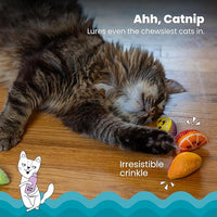 Catstages Dental Fruit Wedges 4 Pk, Soft and Textured Catnip Chew Toys That Help Clean Teeth, Multicolored