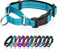 Reflective Martingale Dog Collars. Dog Collar with Quick Release - L:1" Wide for 18.5"-26.5" Neck / Azure Blue