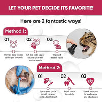 Dental Spray for Pets – Cat & Dog Breath Freshener That Helps with Tartar, Plaque, & Bad Odor – Silver 50 PPM + Valerian Flavour for Dog Teeth Cleaning – 4 Oz