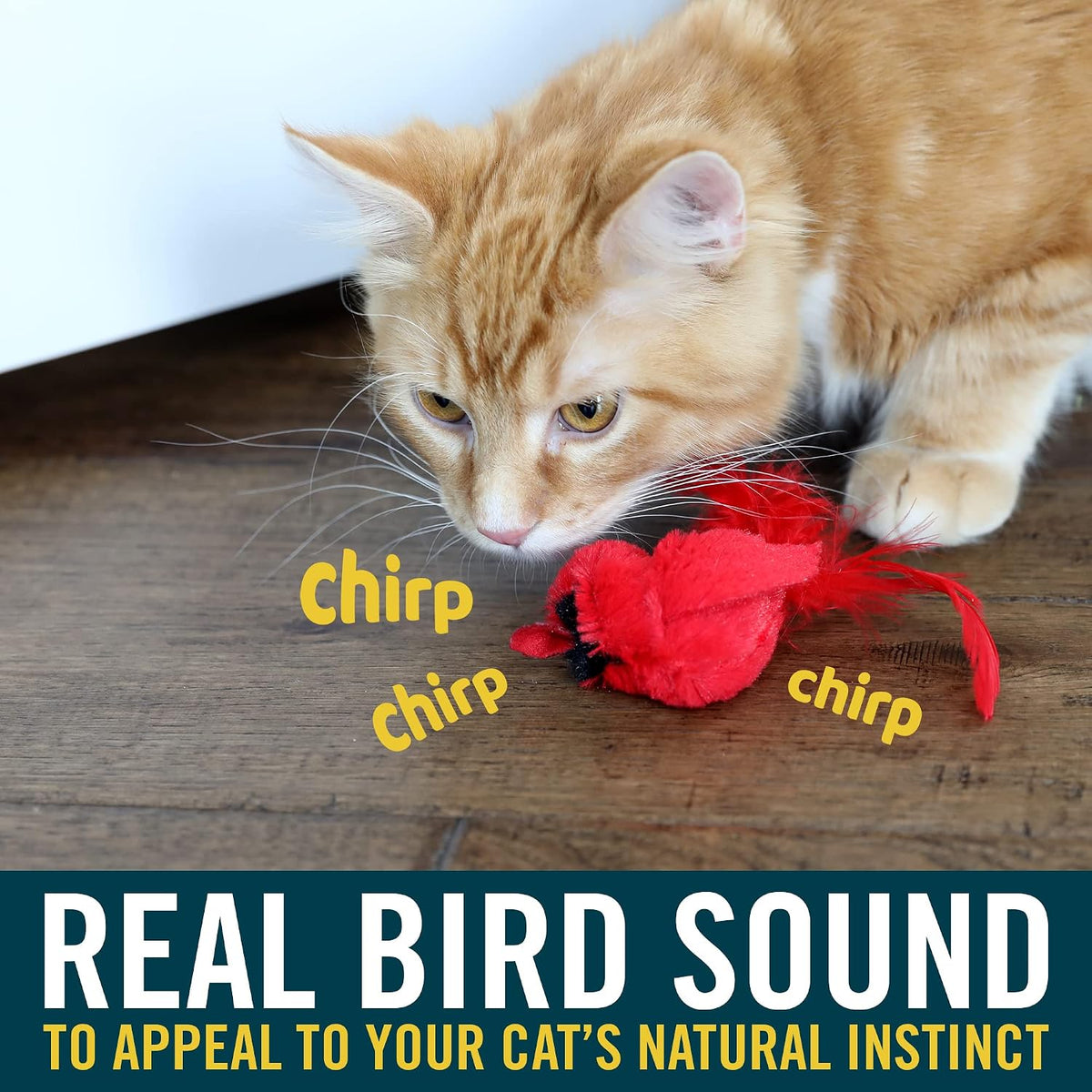 OurPets Play-N-Squeak Real Birds Interactive Cat Toys with Catnip – Essentials for Cats - Fly Over / 2 Count - image 2
