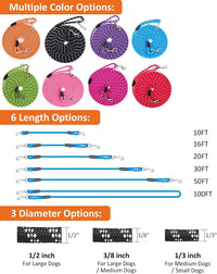Long Dog Leash for Training 10FT/16FT/20FT/30FT/50FT/100FT - 100FT* 3/8 inch / 1Pack HotPink - image 2