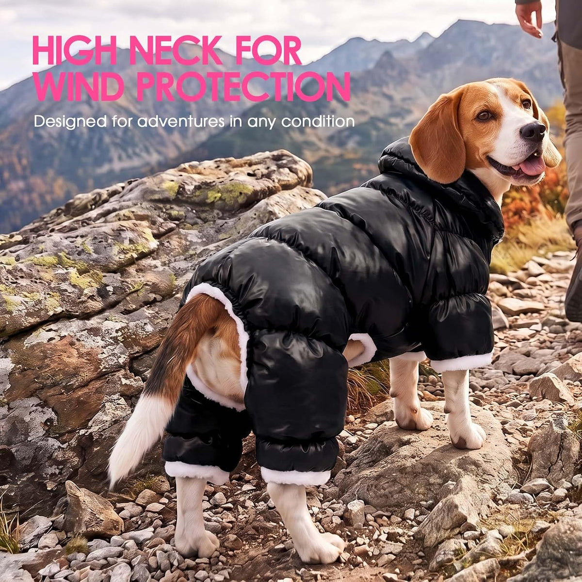 Dog Coat Waterproof Dog Jacket Fullbody Dogs Winter Coat Snowsuit – Essentials for Dogs - Black / XX-Large - image 3