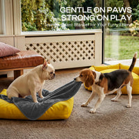 Luciphia Waterproof Blanket for Dog - Grey / M(57''x40'') - image 3