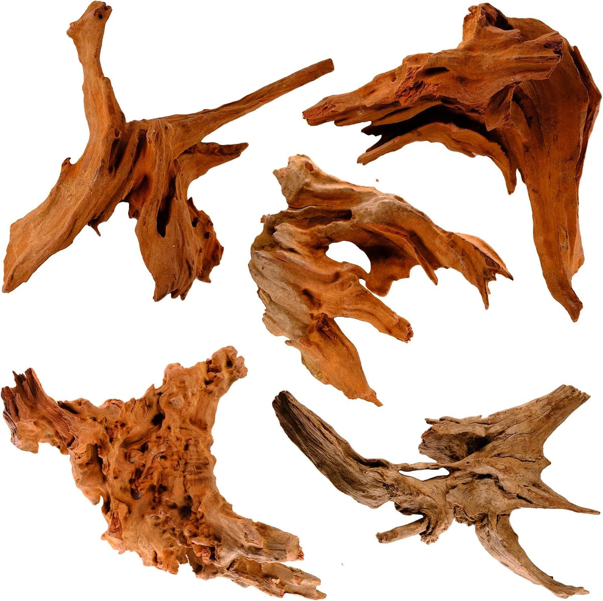 Azil Natural Aquarium Driftwood Root - Driftwood 10'' - 12''