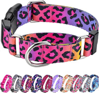 Martingale Dog Collar with Buckle - Gradient leopard / Medium