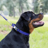 Dogline Biothane Waterproof Dog Collar with Herm Sprenger Stainless Steel Quick Release Buckle – Heavy Duty Tactical Durable Collar for Dogs – Comfortable and Safe Pet Collar W 3/4" L 12-19" Blueberry
