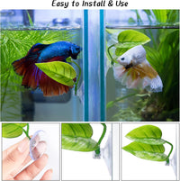 URATOT 4 Pack Betta Fish Leaf Pad Simulating The Natural Habitat - image 3