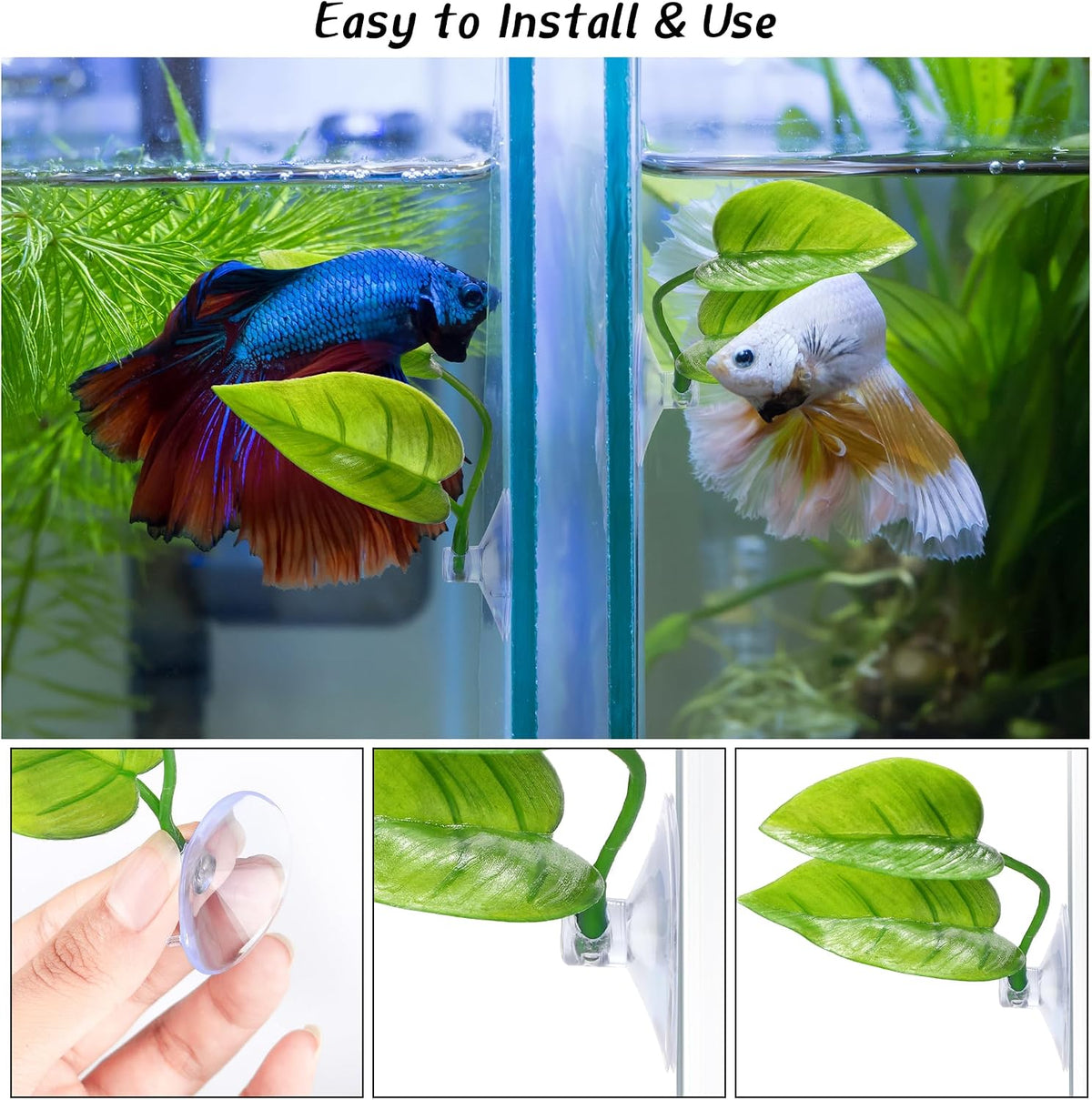 URATOT 4 Pack Betta Fish Leaf Pad Simulating The Natural Habitat - image 3