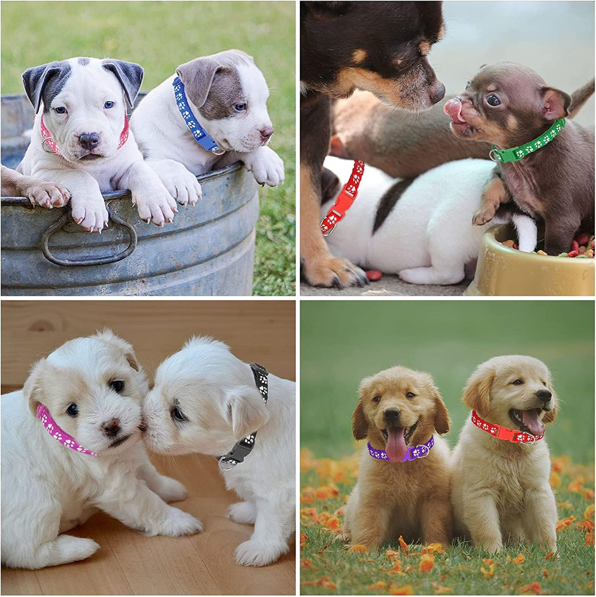 12 Pack Puppy Collars for Litter, Adjustable Puppy ID Collars – Essentials for Small Pets - S / Paw Print - image 4