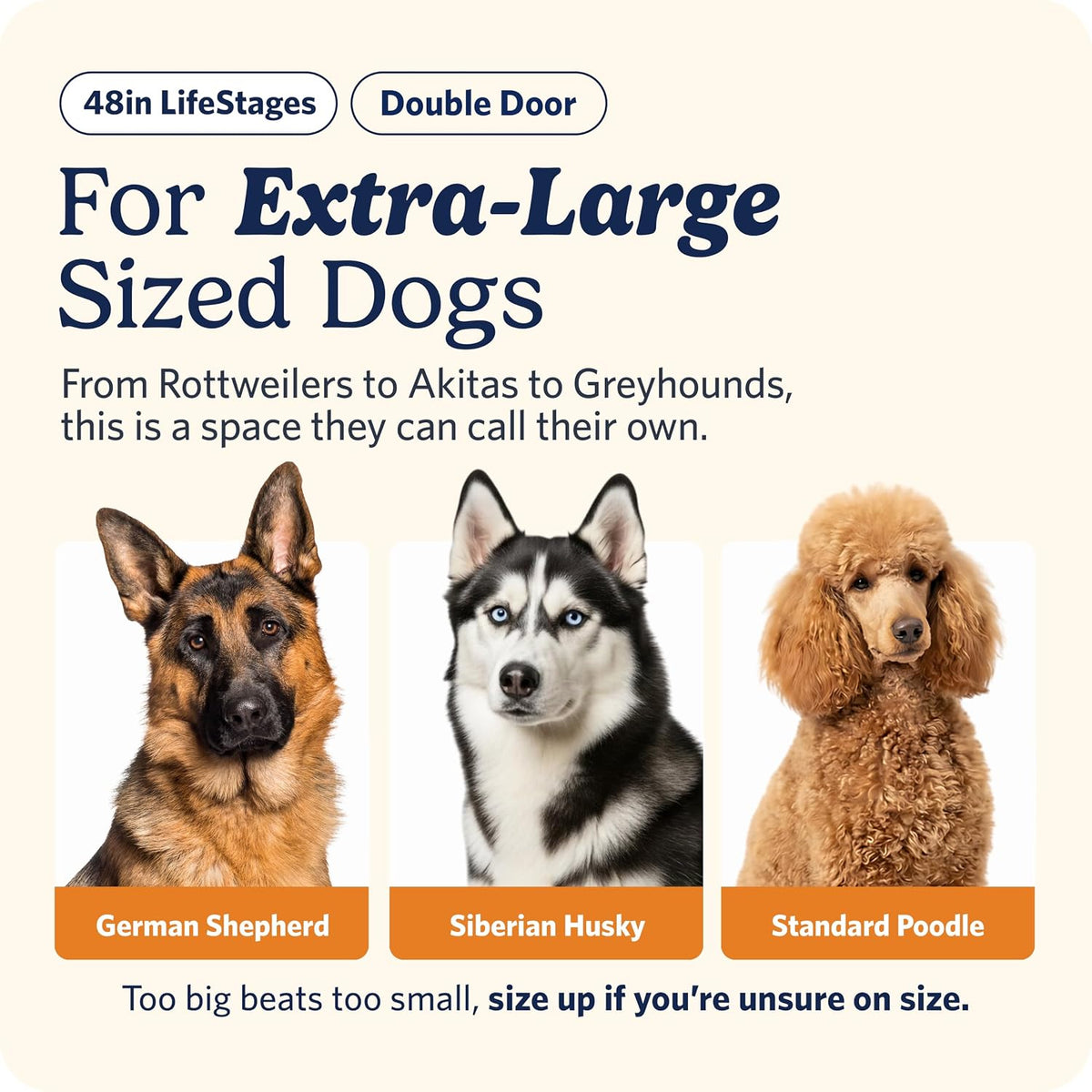 LifeStages by MidWest 36-Inch Double Door Crate, M-L Breeds - Double Door / Fits 48-inch Crate - image 2
