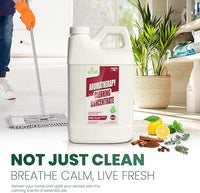 Naeterra Aromatherapy Cleaning Concentrate 64 oz Natural Multi-Surface Cleaner, Plant-Based and Biodegradable, Makes 24 Gallons, Cleaning Essential Oil Formula, Safe for Families and Pets