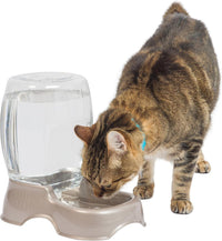Petmate Pet Cafe Gravity Water Dispenser - Pearl Tan / 0.75 GAL (Pack of 6)
