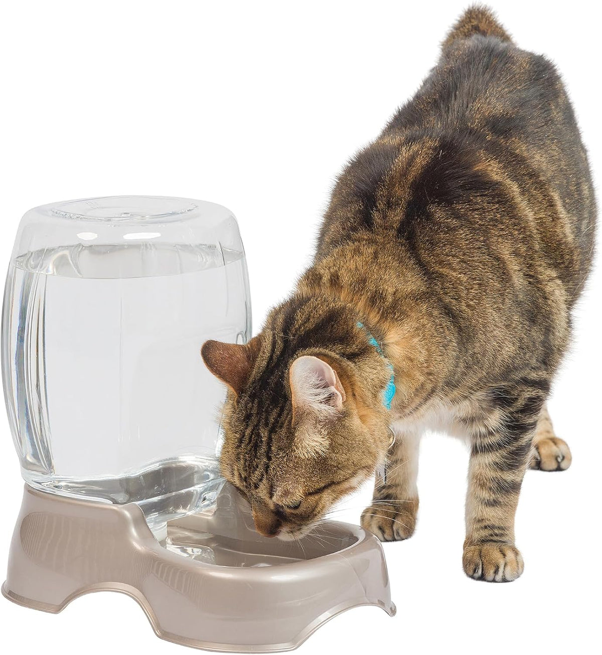 Petmate Pet Cafe Gravity Water Dispenser - Pearl Tan / 0.75 GAL (Pack of 6)