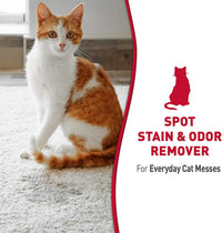 Nature's Miracle Cat Stain and Odor Remover With New Odor Control - Original / 32 Fl Oz (Pack of 1) - image 3