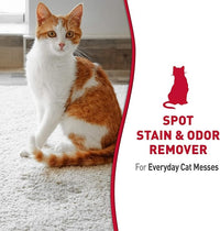Nature's Miracle Stain and Odor Remover, Spot Stain and Pet Odor Eliminator, Enzymatic Formula, 32 Ounce Spray