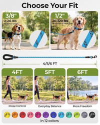 Taglory Rope Dog Leash for Medium Large Dogs - 3/8" x 6 FT (0~20 lbs.) / Blue - image 3