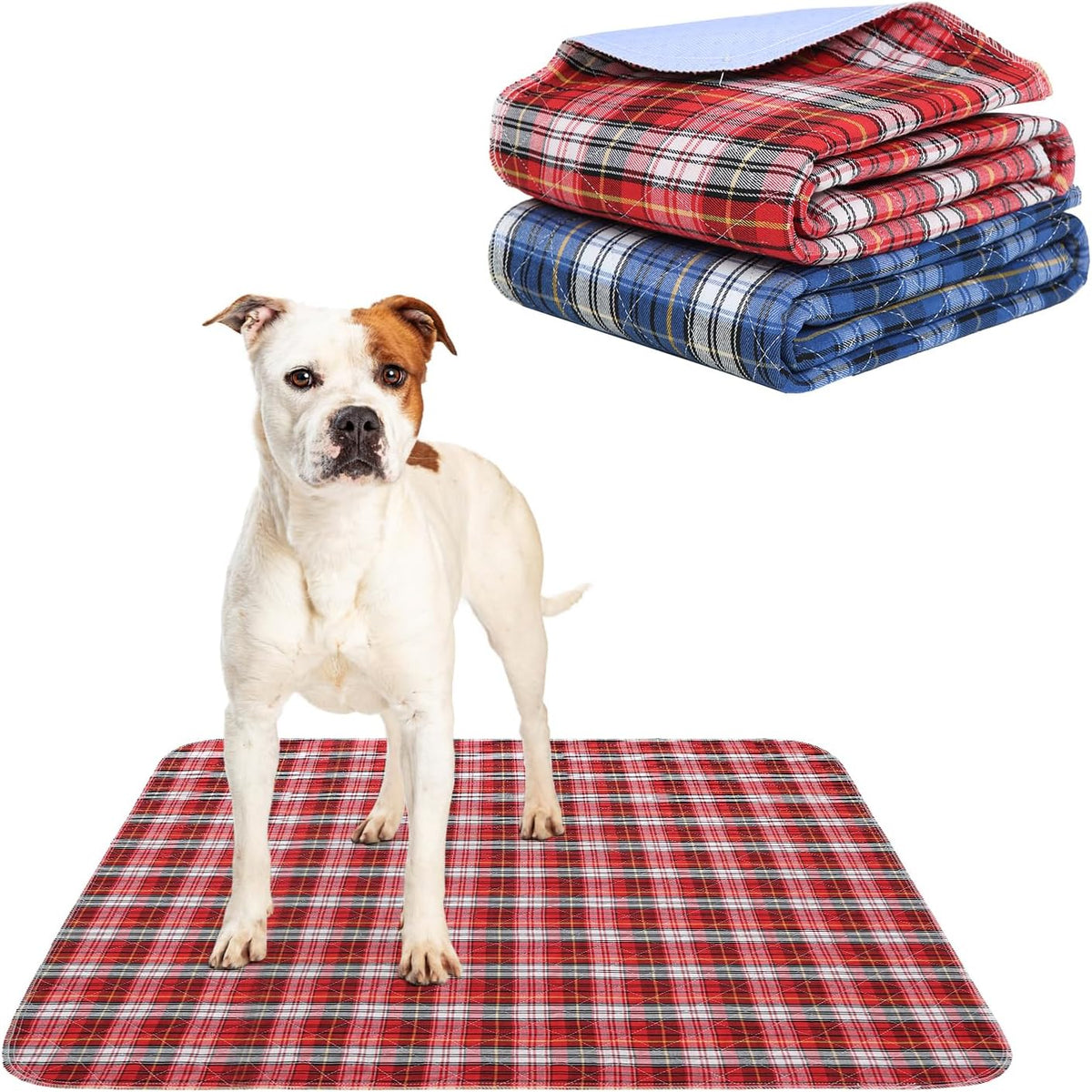 Dog Grass Pad with Washable Pee Pads for Puppy Potty Tray - Red & Blue / 31" x 36" (2 Pack)