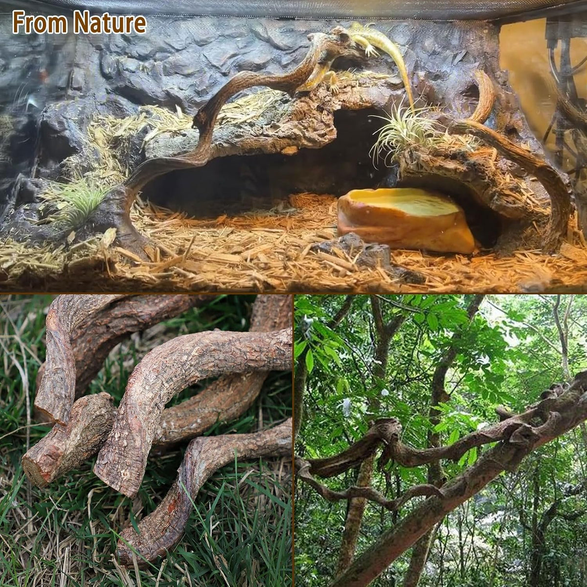 Reptile Decor 3PCS Natural Forest Branch Terrarium Habitat Decoration - L: 4PCS (12.9IN) - image 3