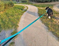 3 Handle Dog Leash 10FT Triple Handle Reflective Large Medium Dogs – Essentials for Dogs - Pink - image 4