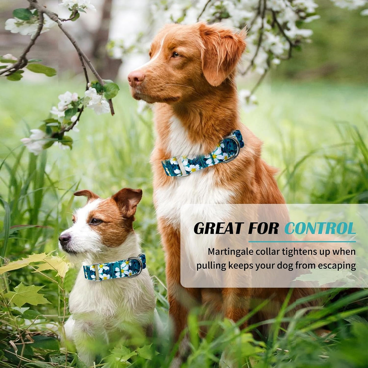Hikiko nylon martingale dog collar without buckle - view 3