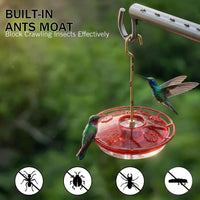 2 Pack 16 oz Saucer Hummingbird Feeders for Outdoors - Clear Ruby / 2-Feeder Set - image 4
