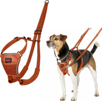 Halti No Pull Dog Harness, Size M - Burnt Orange / XS