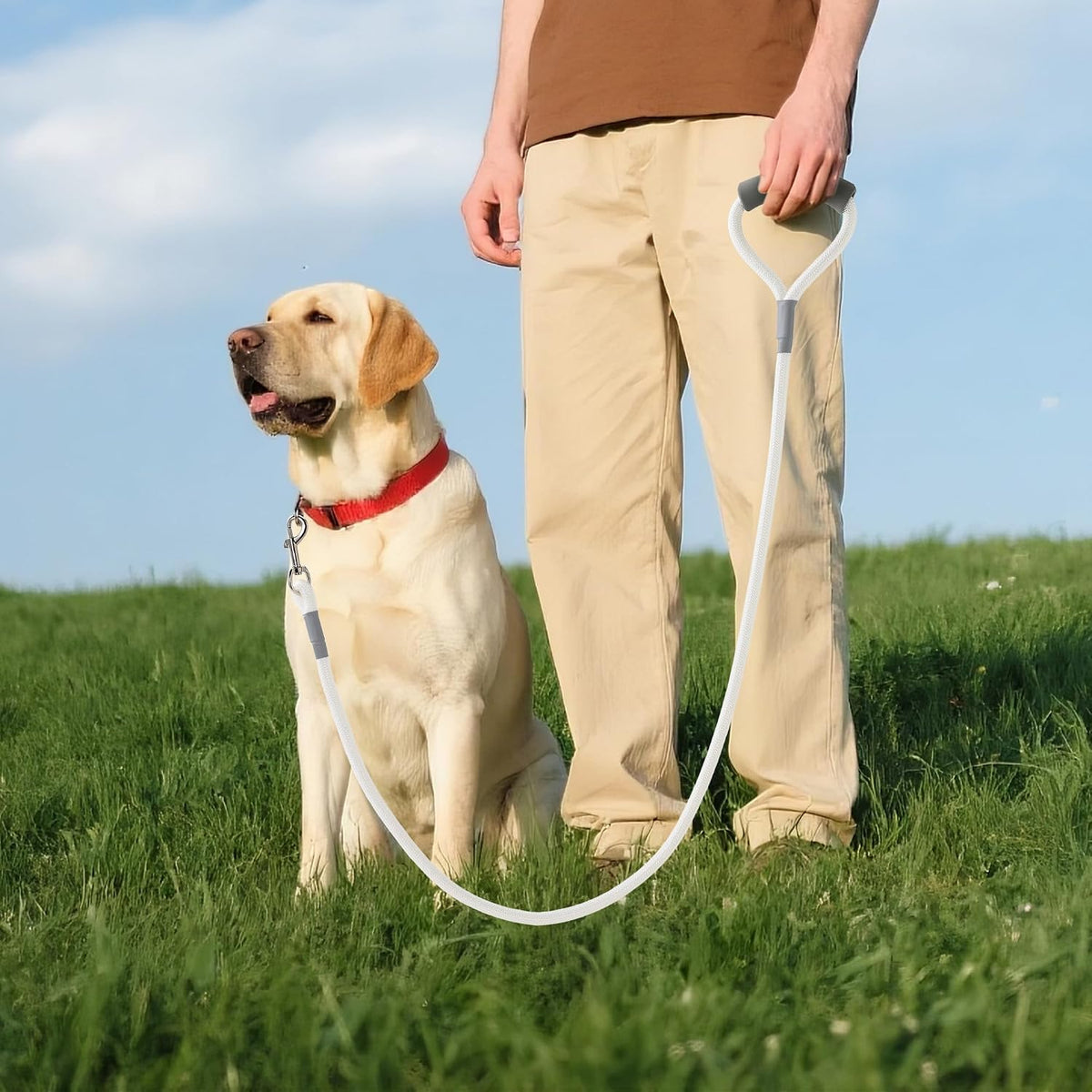Mile High Life Dog Leash, with Padded Handle - White / 5 Feet - image 2