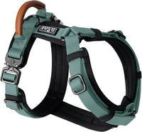 MADE TO ROAM Premium Explorer Harness - Florida Seaside / Size 2