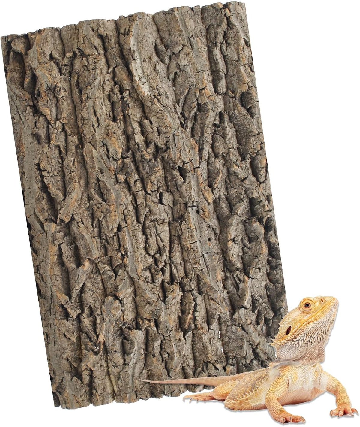 PINVNBY Reptile Terrarium Cork Background - 【Natural Cork Bark 】 / 【1 PCS】
