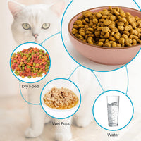 Ceramic Cat Bowls, Howise Pet Bowl Cat Dishes for Food and Water - pink - image 2