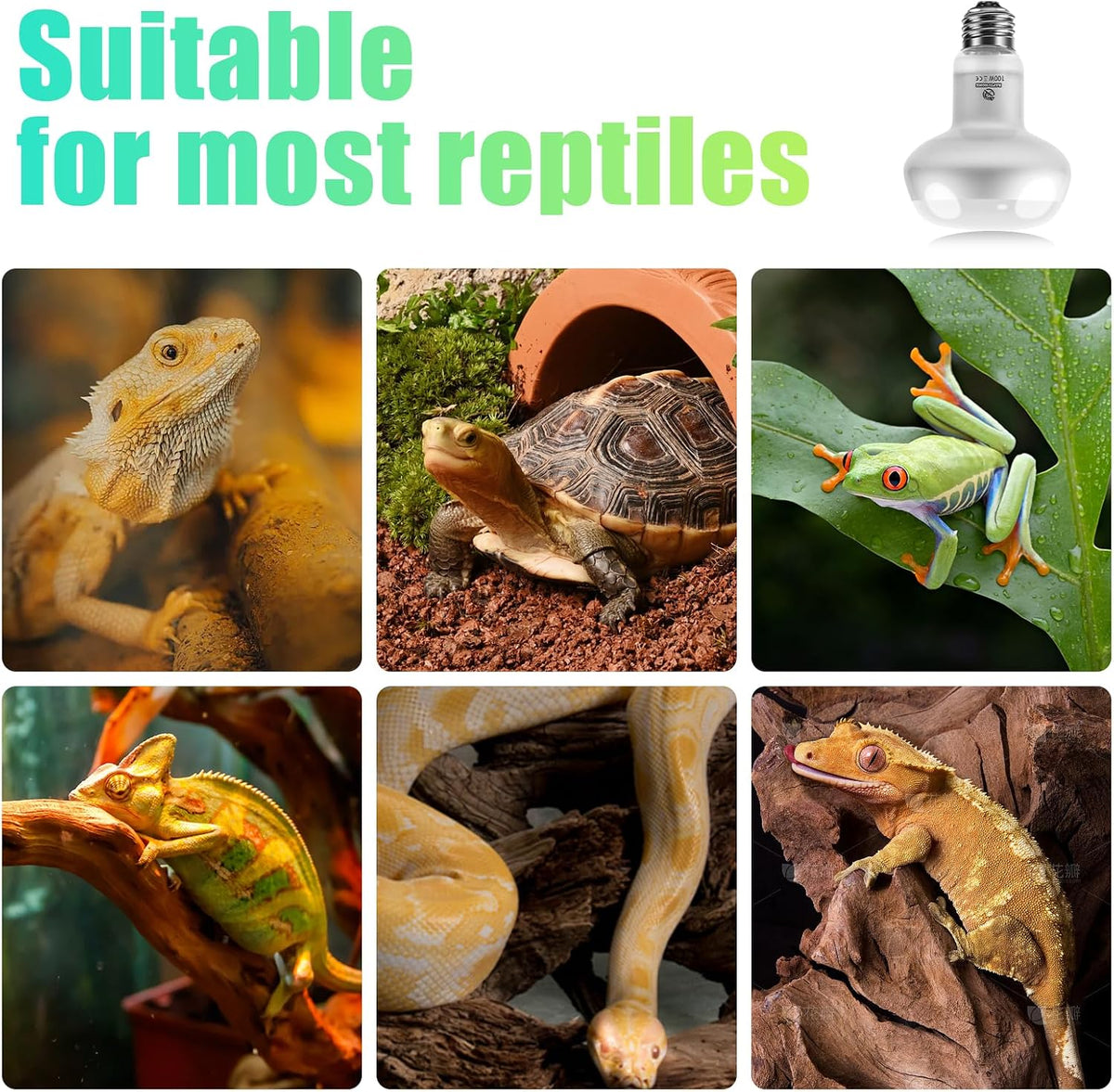 Reptile Heat Lamp Bulbs, Simulate Natural Sunlight Heat Light Bulb, 2 Pack 100W Amphibian Terrarium - Intense Light / 4*100 - image 4