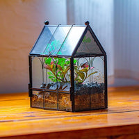 NCYP Small Glass Spider Enclosure with Mesh for Jumping Spiders, Snails, Micro House Shaped Front Opening Plant Terrarium, Home Decor Black, 5.8" x 3.8" x 7" (Terrarium Only)