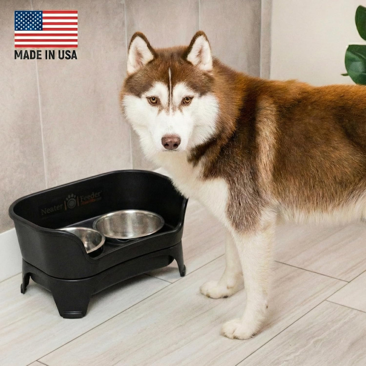 Neater Feeder Express Mess Proof Dog Bowls Elevated for Small Breeds - Medium to Large w/ Standard Bowls / Midnight Black - image 2
