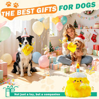 Fuufome Squeaky Dog Toys for Indoor Play with Small - yellowish white - image 4