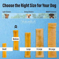 ValueBull Himalayan Yak Cheese Dog Chews, Medium, 10 ct - Long Lasting for Aggressive Chewers, All Natural, Healthy & Safe, Low Odor Nepal Yak Milk Chews